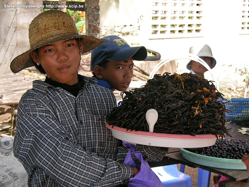 Skuon - spinnen Skuon, een klein stadje op de weg tussen Kompong Cham en Phnom Penh/Battambang, is vooral bekend om de plaatselijke delicatessen; geroosterde of gefrituurde tarantula's. Stefan Cruysberghs